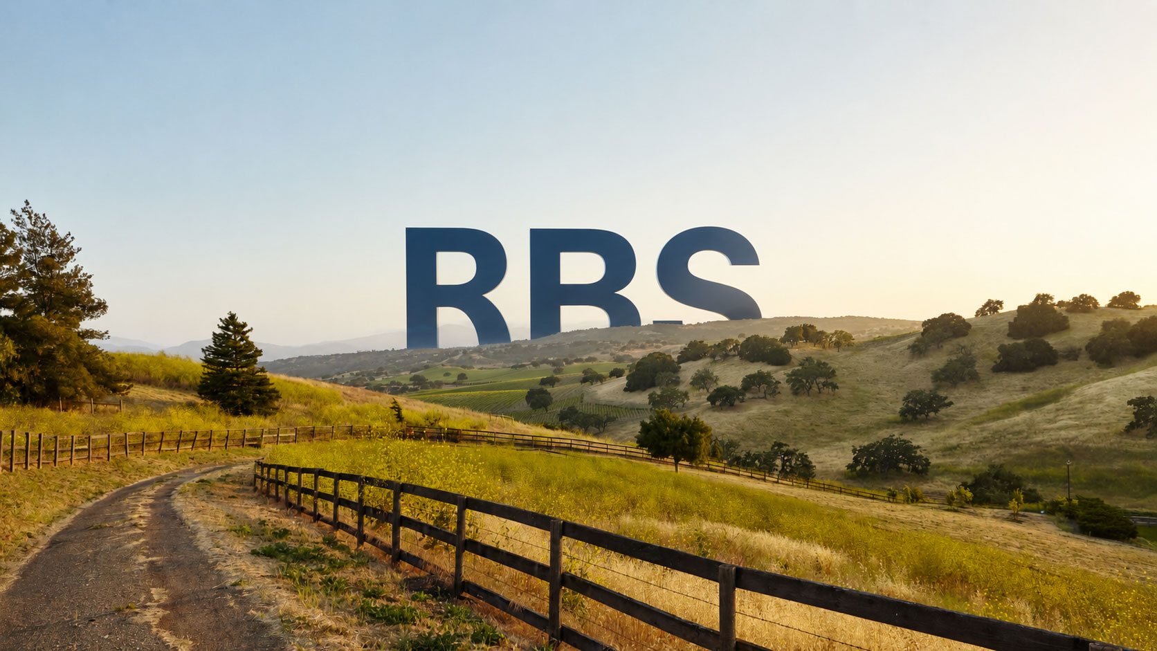 RBS global hospitality software brand system by GiddyBrands